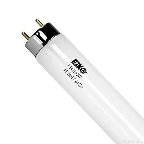 EIKO Cool White Economy Fluorescent Lamp F14T8/CW