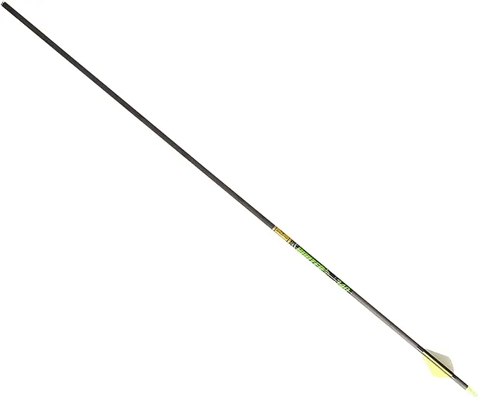 Gold Tip Hunter XT Arrows