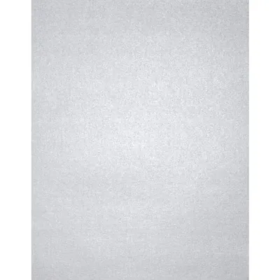 LUXPaper 8.5" x 11" Cardstock | Letter Size | Silver Metallic | 105lb. Cover (192lb. Text) | 50 Qty