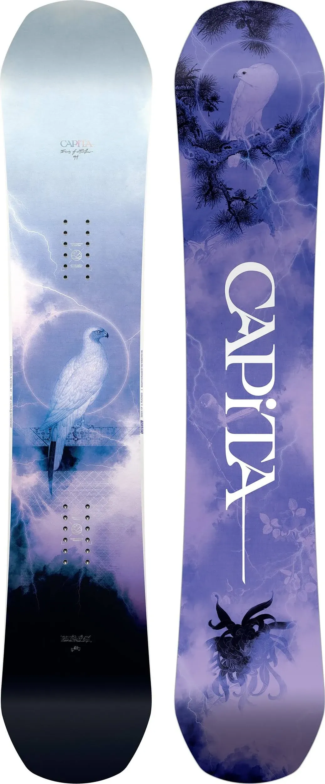 Women's Birds Of A Feather Snowboard 2025