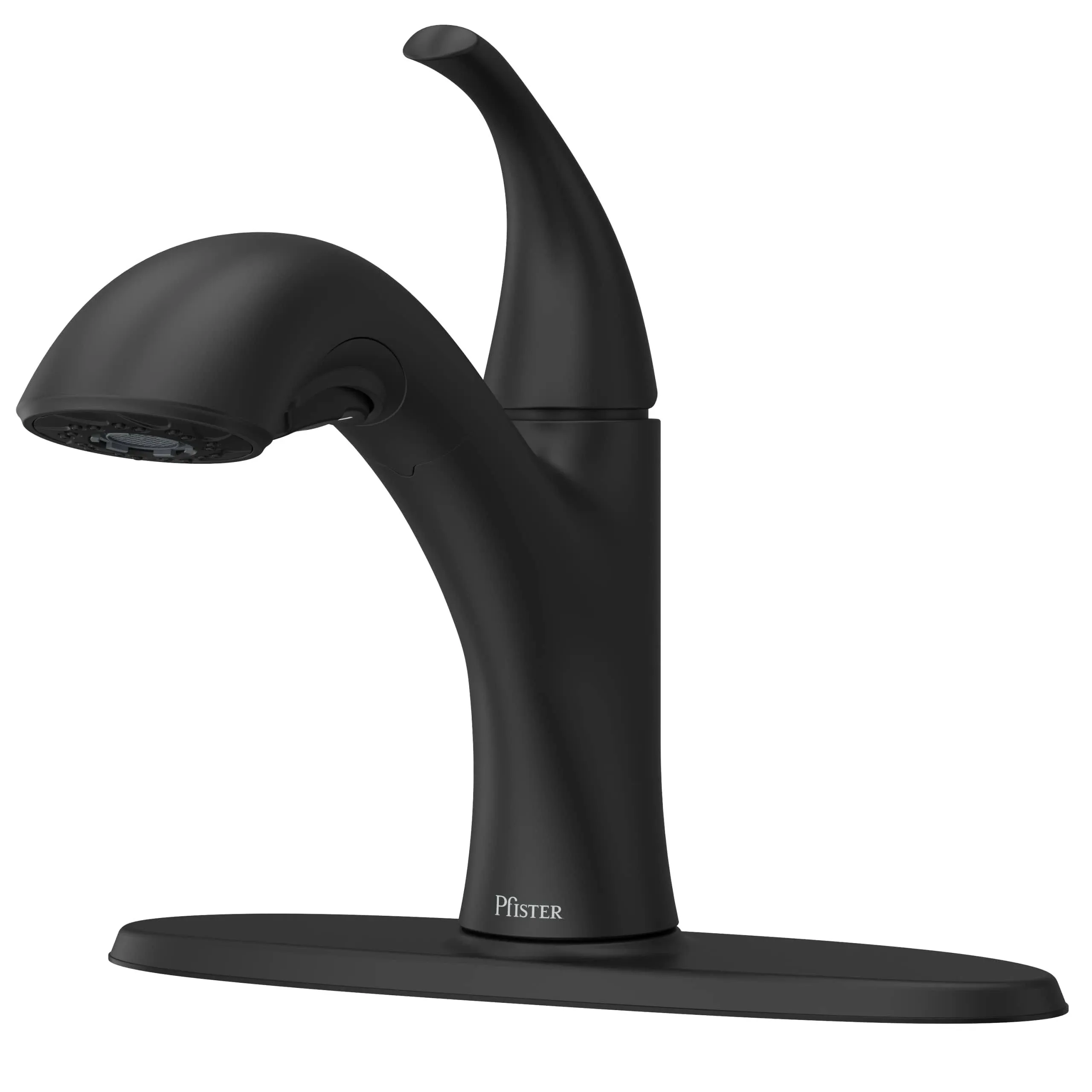 Wray Kitchen Faucet with Pull Out Sprayer, Single Handle, Mid Arc, Matte Black F