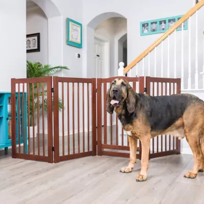 Primetime Petz 360 Configurable Gate with Door