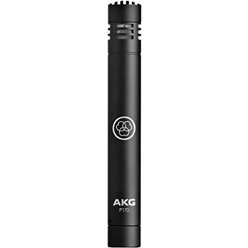 AKG Pro Audio P170 Professional Instrumental Microphone