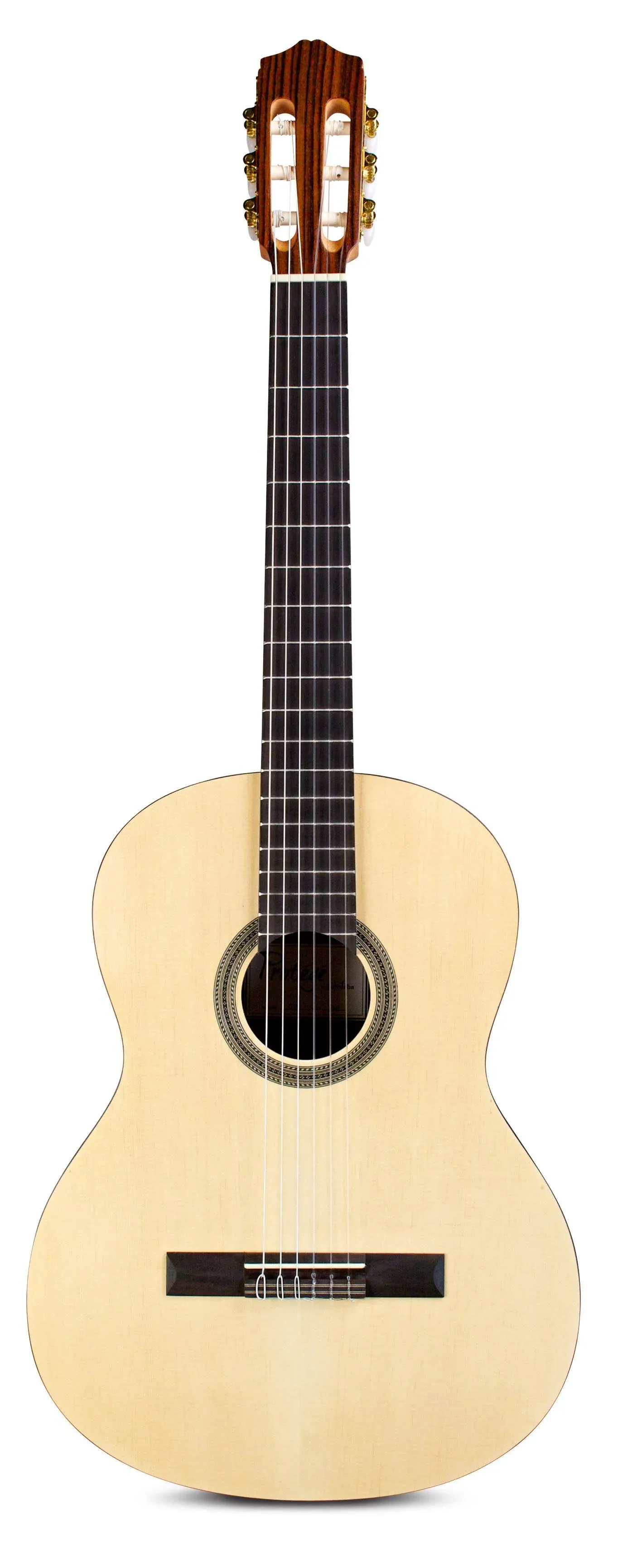 Cordoba Protege C1M Full Size Classical Guitar