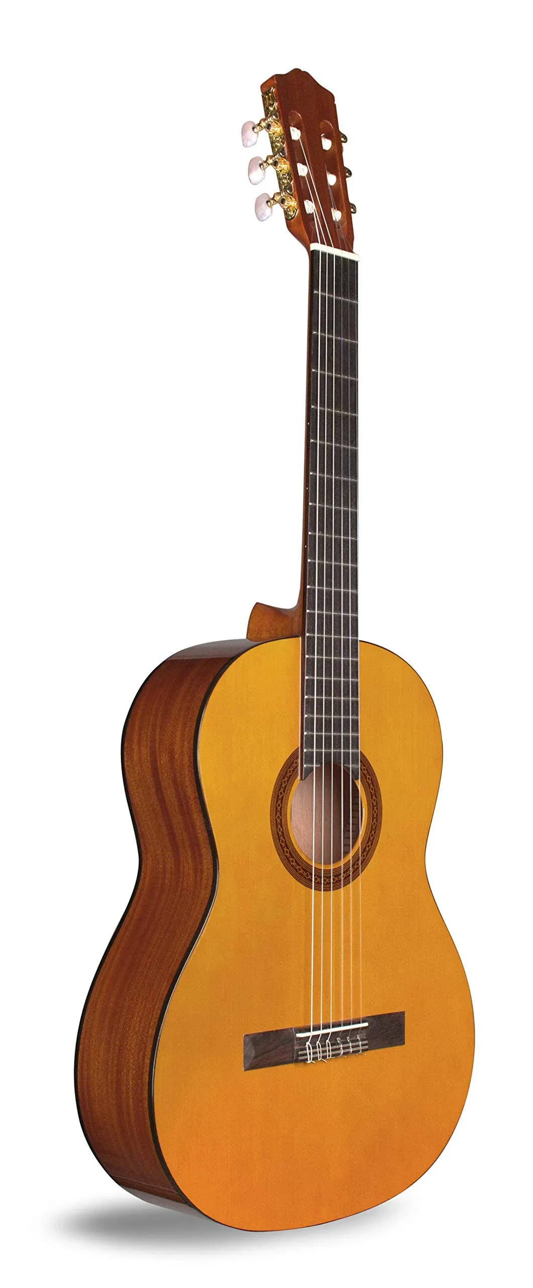 Cordoba C1 Protege Classical Guitar