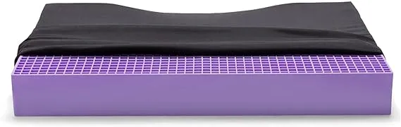 Purple Back Seat Cushion - Comfiest Science You Can Sit On - Store Return