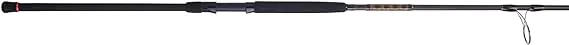 PENN Squadron III Surf Spinning Fishing Rod