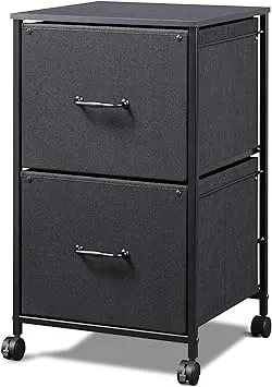 DEVAISE 2 Drawer Mobile File Cabinet, Rolling Printer Stand, Fabric Vertical Filing Cabinet Fits A4 or Letter Size for Home Office, Black