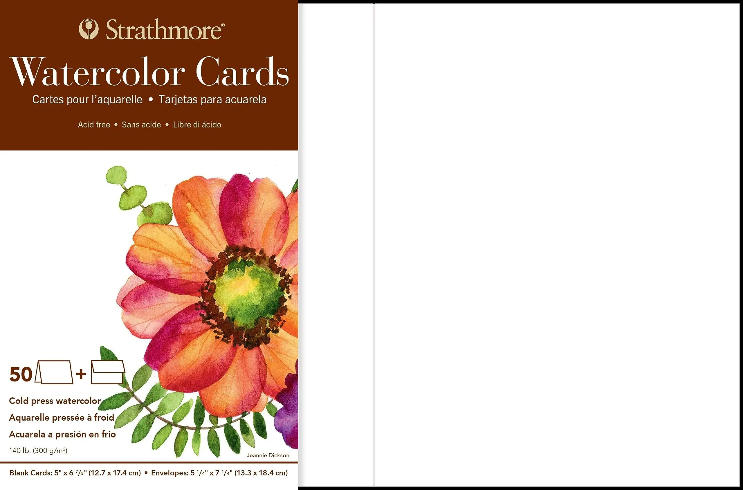 Strathmore Cards & Envelopes 5"X6.875" 50 Pkg Watercolor