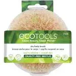 EcoTools Body Brush Dry