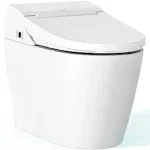  Smart Bidet Toilet for bathrooms, One Piece Integrated Toilet with TCB-8100W