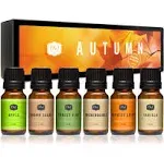 P&J Trading Elements Set of 6 Fragrance Oils