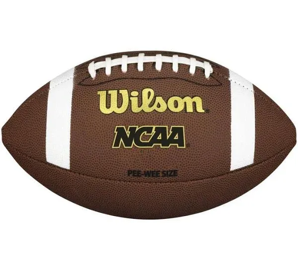 Wilson NCAA Composite Football