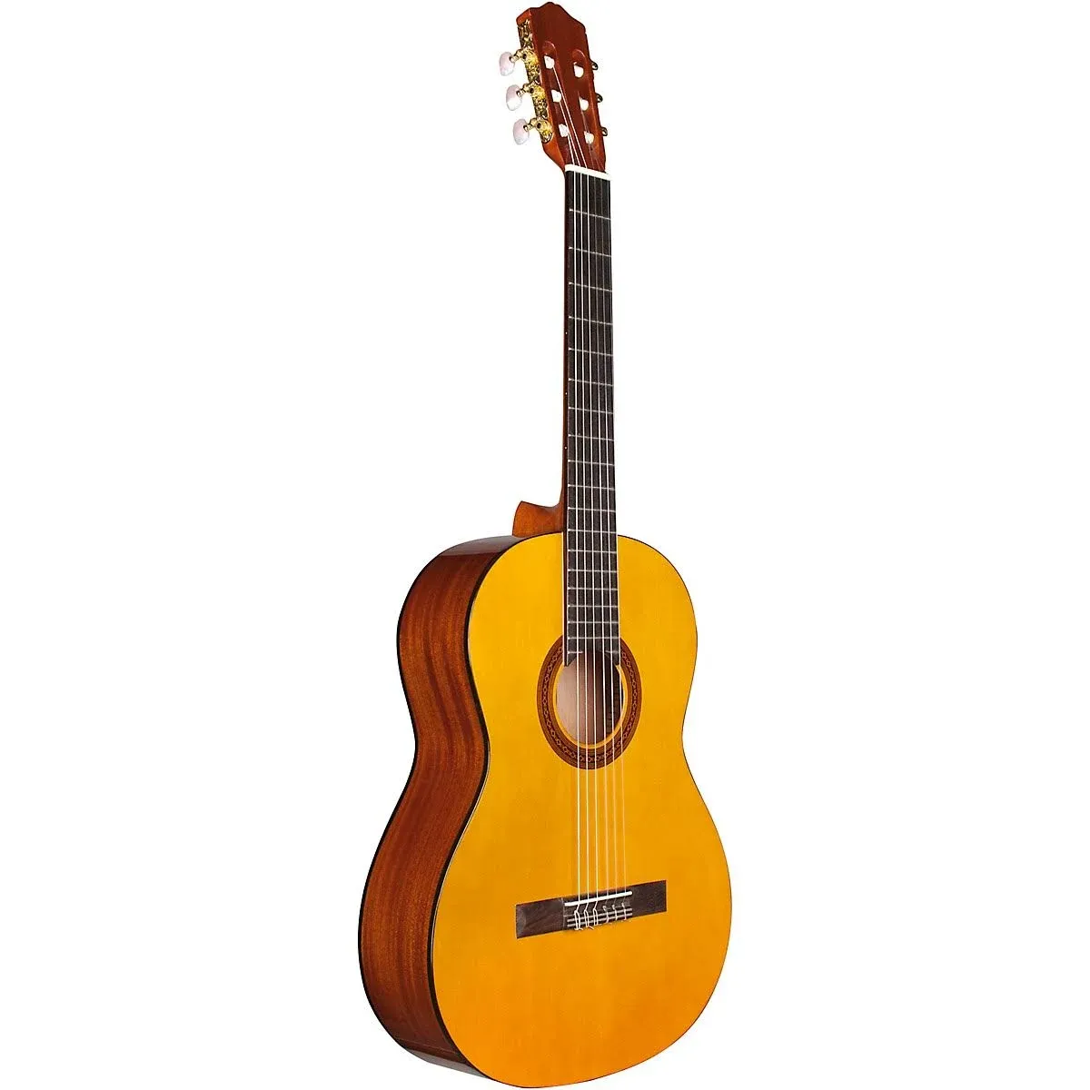 Cordoba C1 Protege Classical Guitar