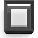 Philips Hue White and Color Ambiance Econic Outdoor Wall Light