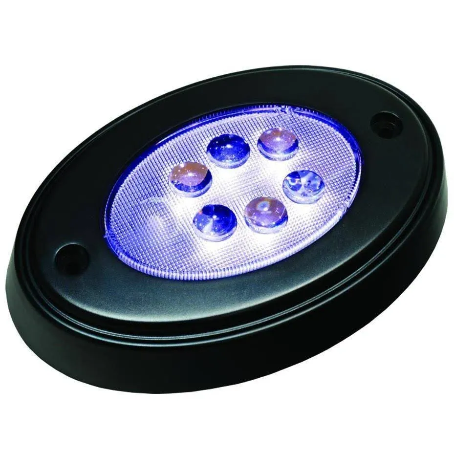 T-H MARINE - OCL-1K-DP: BLACK OVAL COURTESY LED W/ MNT RING