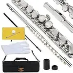 Glory Closed Hole C Flute With Case, Tuning Rod and Cloth,Joint Grease Nickel